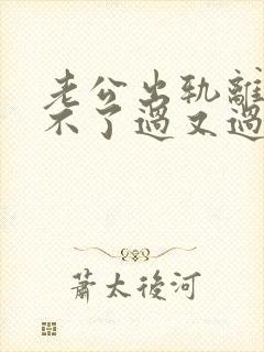 老公出轨离又离不了过又过不好怎么办