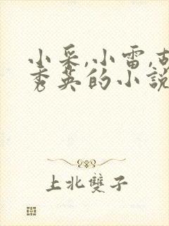 小采,小雷,胡秀英的小说