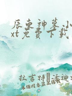 辰东神墓小说txt免费下载