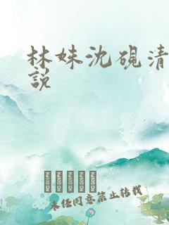 林姝沈砚清的小说