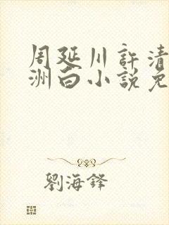 周延川许清涵沈洲白小说免费