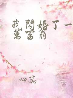 我闪婚了一个亿万富翁