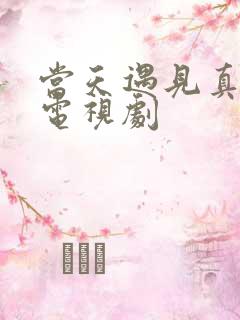 当天遇见真爱情电视剧