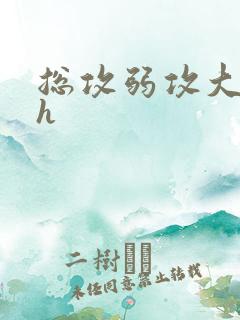 总攻弱攻大佬受h