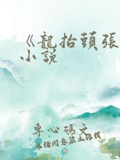 《龙抬头张龙》小说