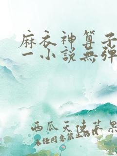 麻衣神算子李初一小说无弹窗无广告