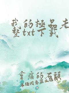 我的极品老婆完整txt下载
