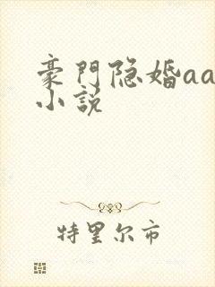 豪门隐婚aa制小说