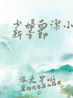少妇白洁小说最新章节