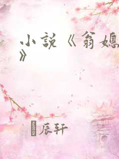 小说《翁媳乱情》