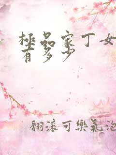 极品家丁女主角有多少