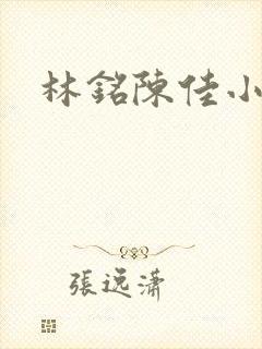 林铭陈佳小说