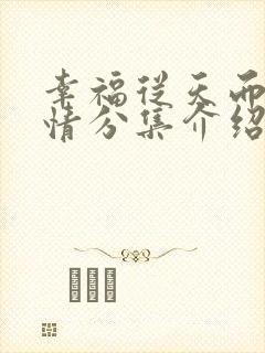 幸福从天而降剧情分集介绍
