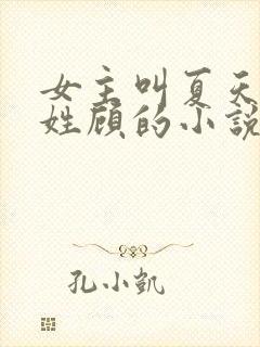 女主叫夏天男主姓顾的小说