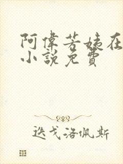 阿伟芳姨在人间小说免费