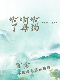 啊啊啊……高潮了母狗