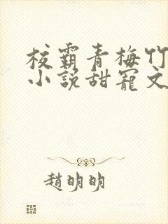 校霸青梅竹马的小说甜宠文