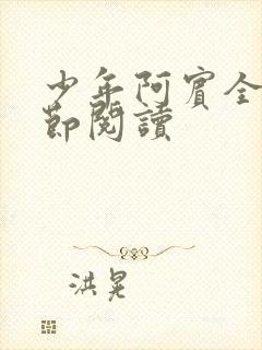少年阿宾全文章节阅读