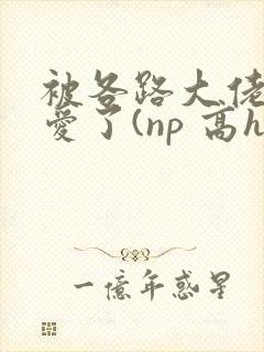 被各路大佬强制爱了(np 高h
