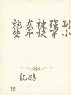 炮灰被强制的那些年快穿小说免费阅读