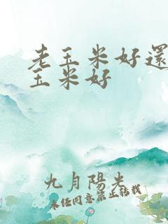 老玉米好还是嫩玉米好