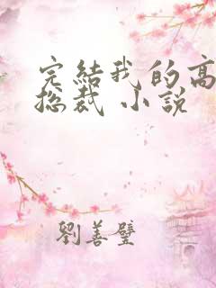 完结我的高冷女总裁 小说