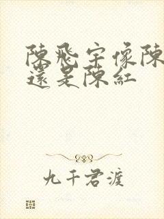 陈飞宇像陈凯歌还是陈红