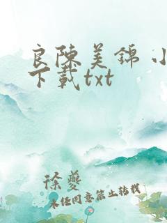 良陈美锦 小说下载txt