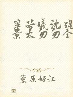 宁若曦沈砚舟盛景太匆匆全本阅读