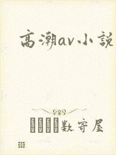 高潮av小说