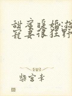 甜蜜暖婚:总裁宠妻很狂野