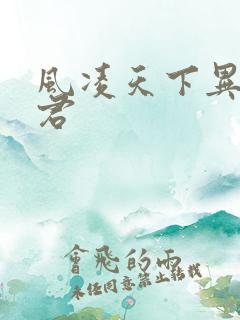 风凌天下异世邪君