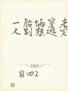 一胎俩宝老婆大人别想逃完整版