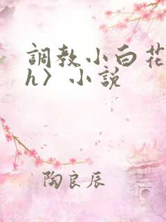 调教小白花〈高h〉小说