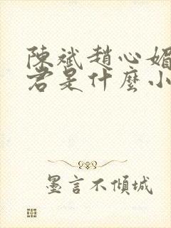 陈斌赵心媚高婉君是什么小说
