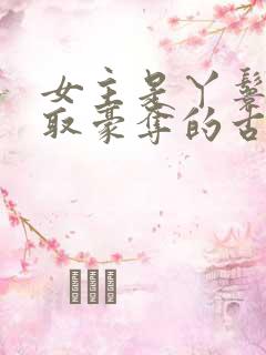 女主是丫鬟被强取豪夺的古言
