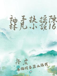 袖手扶摇陈嘉仪林凡小说16