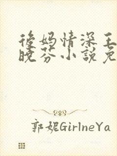 后妈情深王磊杨晓芬小说免费阅读全文