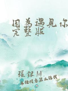 因为遇见你全部完整版