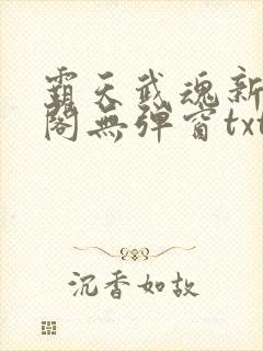 霸天武魂新笔趣阁无弹窗txt
