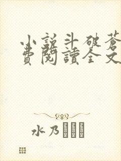 小说斗破苍穹免费阅读全文无窗口