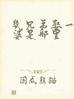 几兄弟娶一个老婆是哪里