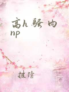 高h 骚 肉 np