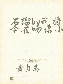 石榴by我将在今夜吻你小说免费阅读