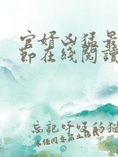官婿凶猛最新章节在线阅读