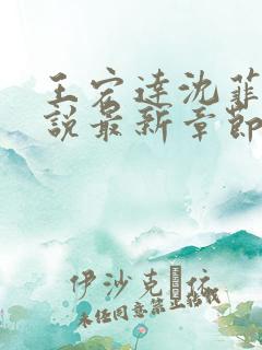 王宏达沈菲菲小说最新章节更新时间