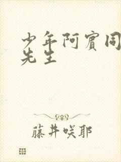 少年阿宾同人胡先生