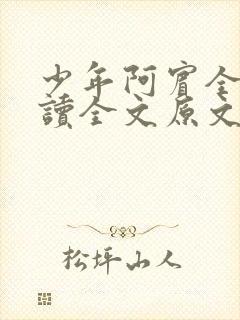 少年阿宾全文阅读全文原文