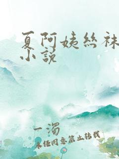 夏阿姨丝袜诱惑小说