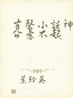 有声小说神秘老公惹不起